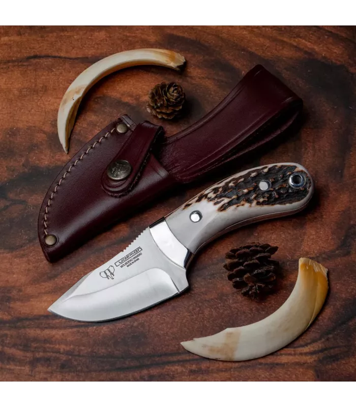 Coltello spelucatore manico asta cervo (17 cm). ⚔️