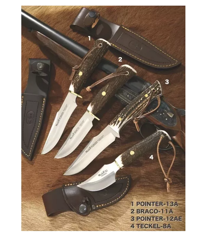 Jachtmessen Pointer, Braco, Teckel ⚔️