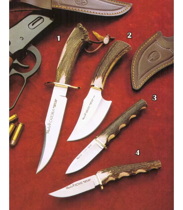 Cuchillo Cazorla-Sabueso-Kolibri-Bowie ⚔️