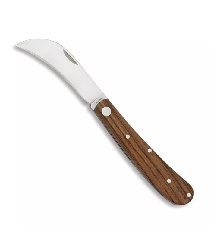 Albainox Tranchete Knife for Mushrooms ⚔️