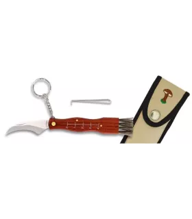 Messer für Pilze, Klingenlänge 6,5 cm. ⚔️