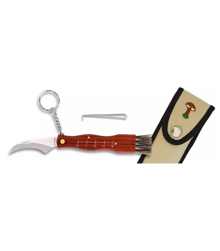 Canivete para cogumelos, lâmina de 6,5 cm. ⚔️