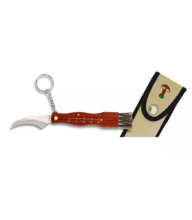Messer für Pilze, Klinge 6 cm. ⚔️