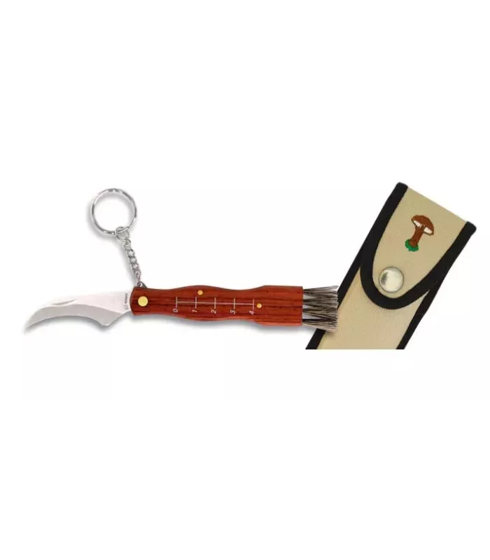Mushroom knife, 6 cm blade. ⚔️
