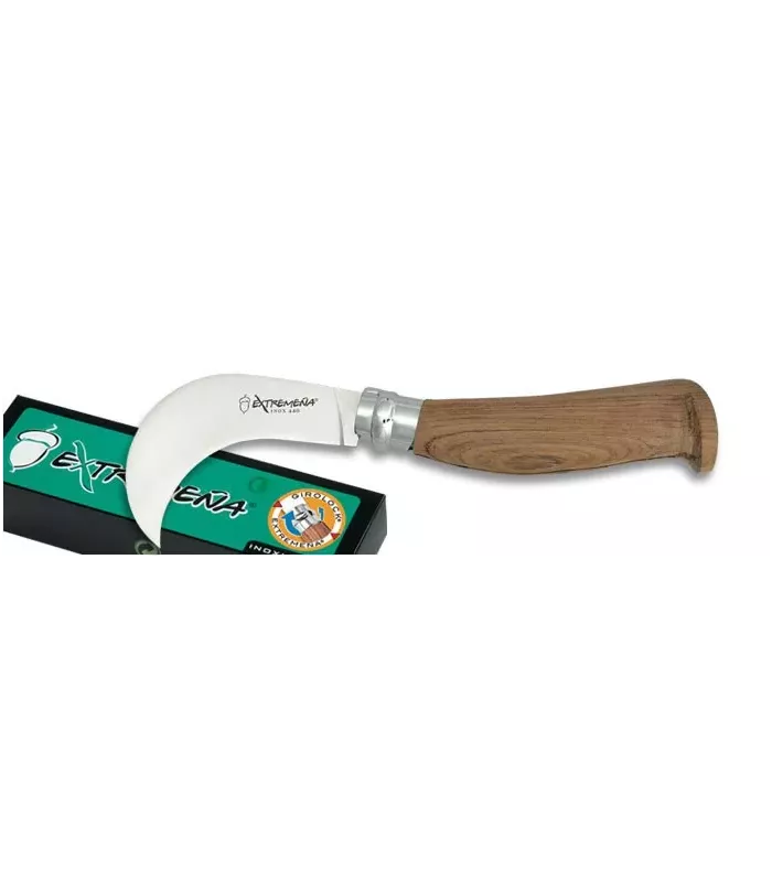 Tranchete Knife, 8 cm blade. ⚔️
