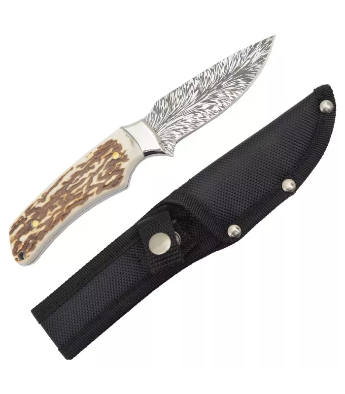 Coltello da avventura con fondina per cintura ⚔️
