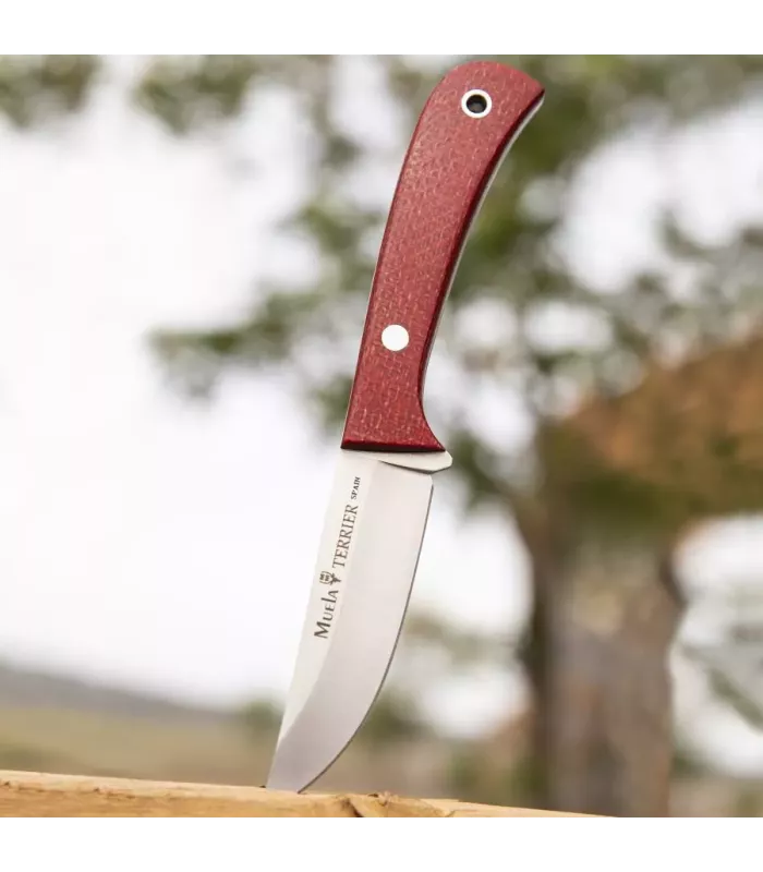 Cuchillo Terrier de Muela con funda Kydex ⚔️