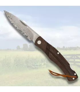 Albainox Damascus Blade Field Knife with 73 Layers (18.3 cm.) ⚔️