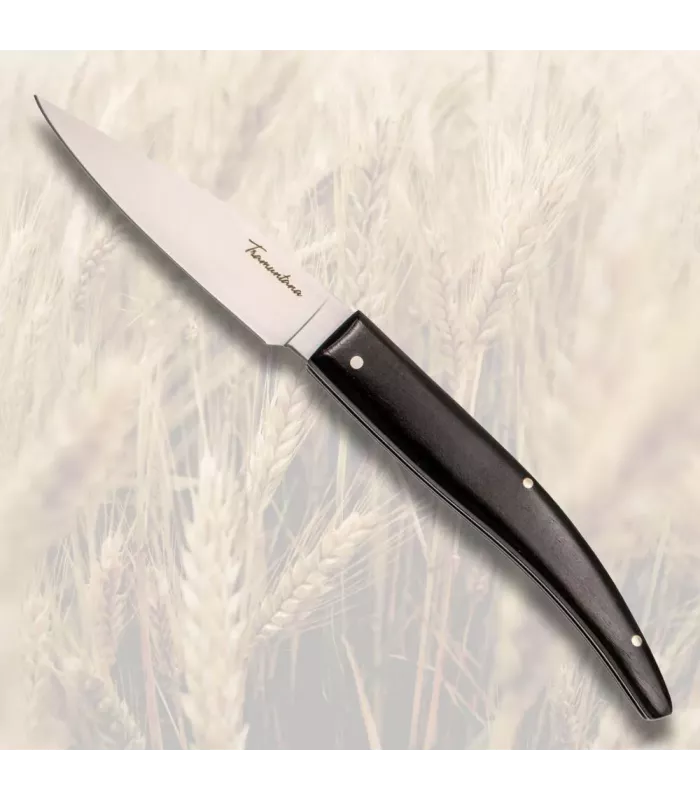 Couteau Pointe Tramuntana Knives N92E ⚔️