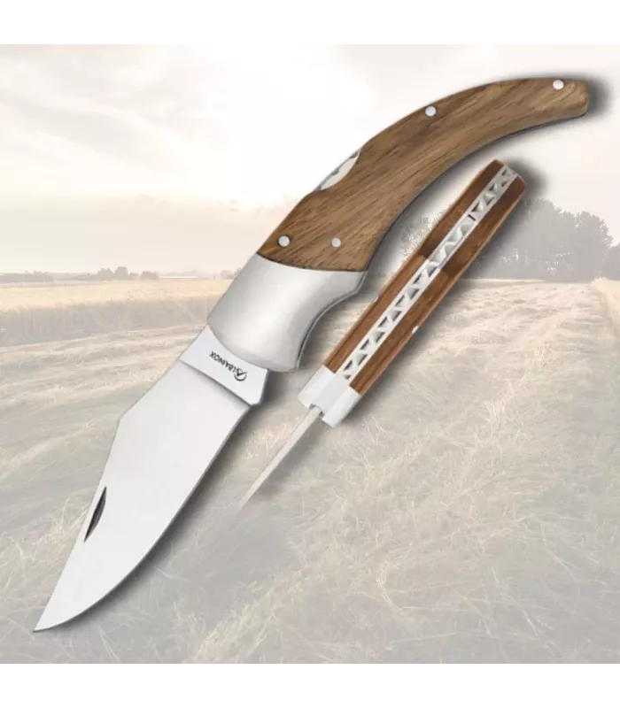Albainox Pocket Knife with Zebra Wood Handle (20 cm.) ⚔️