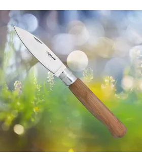 Extremeña Cabritera Girolock Taschenmesser (22,30 cm.) ⚔️