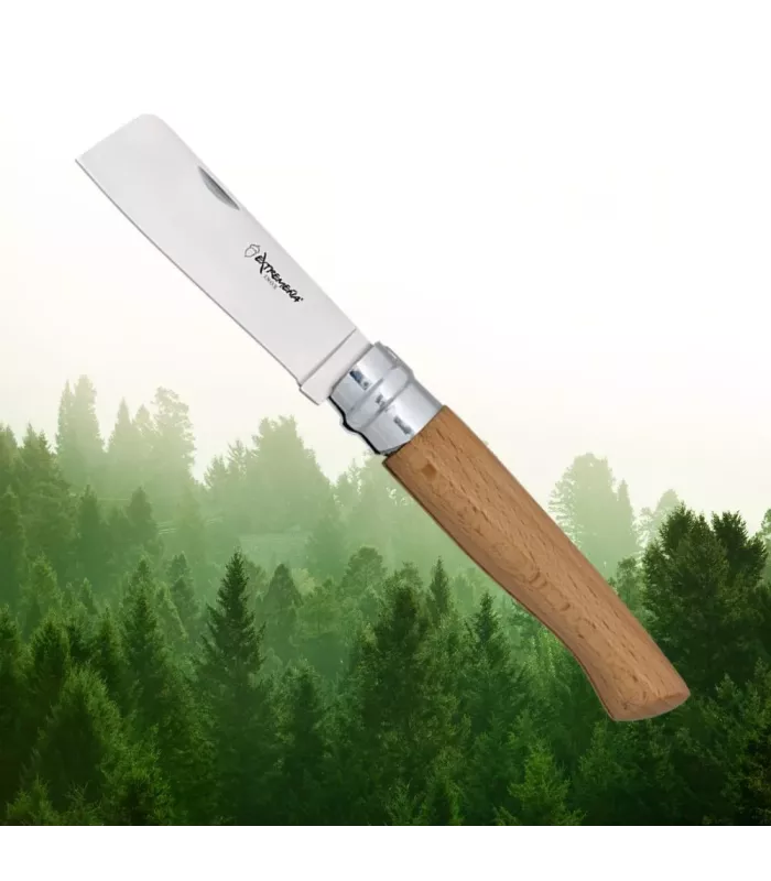 Coltello Extremeña punta tagliata, con blocco ⚔️