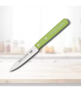 Køkkenkniv Patatero mærke NOGENT, træhåndtag Grøn ⚔️
