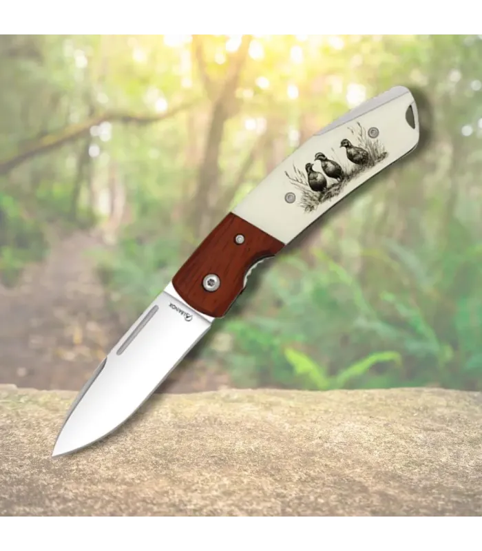 Navaja de caza Albainox modelo Perdiz (19 cm.) ⚔️