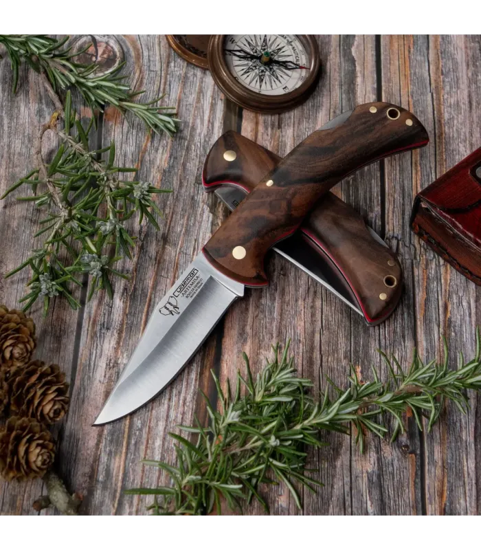 Jagtkniv Artemisa, satin-finish valnøddetræshåndtag ⚔️