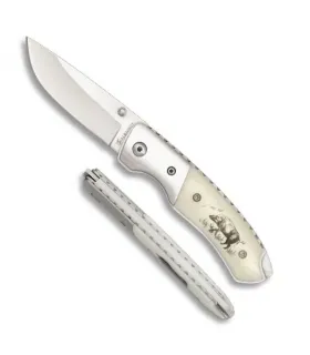 Albainox Deluxe Wildzwijn Zakmes voor jagers (16 cm.) ⚔️
