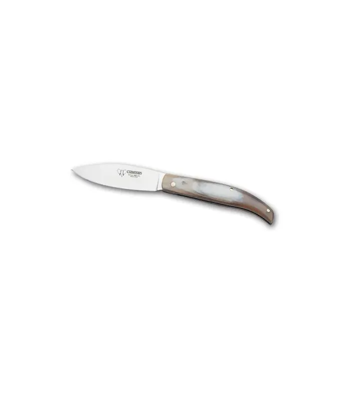 Pastora Pocket Knife with Handle made of Antler, Blade 9.5 cm. ⚔️