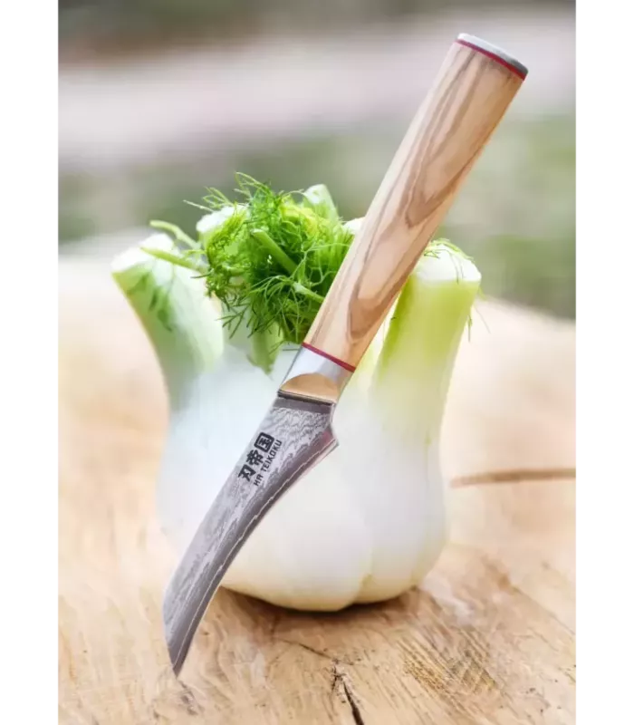 Faca de Cozinha para Legumes, Ha Teikoku, lâmina de Aço Damasco (33 cm). ⚔️