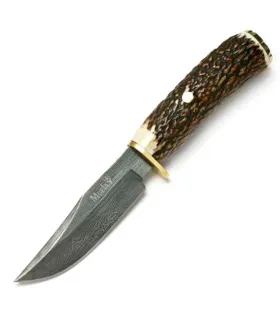 Couteau de chasse Braco, manche en bois de cerf ⚔️