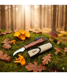 Albainox Set Knife with Brush, Pliers, and Whistle (21 cm.) ⚔️