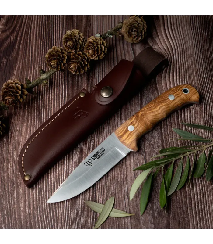Jagtkniv med oliventræshåndtag, blad 11 cm. ⚔️