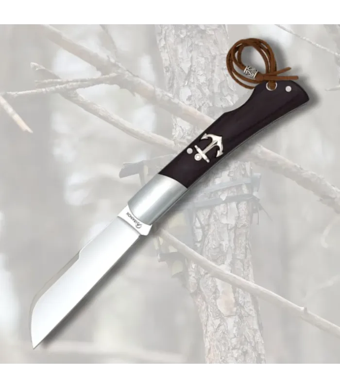 Couteau Albainox lame pointe perroquet, noir (18 cm.) ⚔️