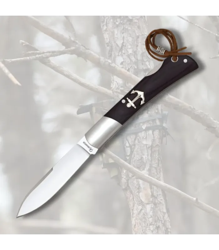 Albainox Knife with Sword Tip Blade, Black (18 cm.) ⚔️