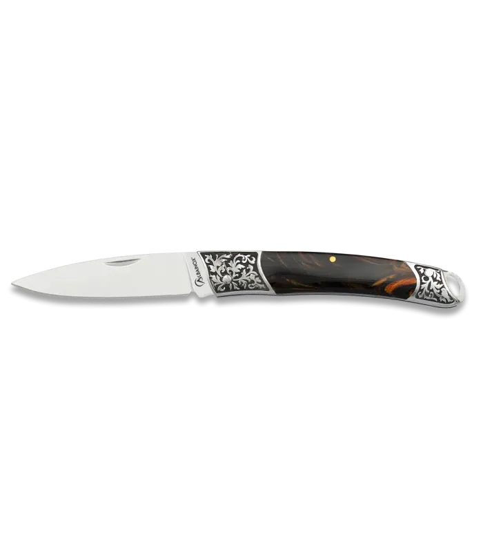 Coltello marca Albainox con manico in acrilico (19 cm). ⚔️