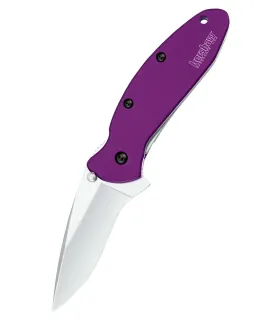 Kershaw Scallion Pocket Knife, Purple ⚔️