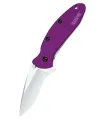 Coltello da tasca Kershaw Scallion, viola ⚔️