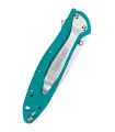 Coltello da tasca Kershaw Leek, verde bluastro ⚔️