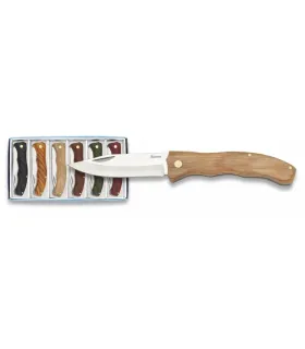 Sæt 6 knive Albainox træ ⚔️