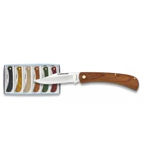 Set of 6 knives, wooden handle by Albainox ⚔️