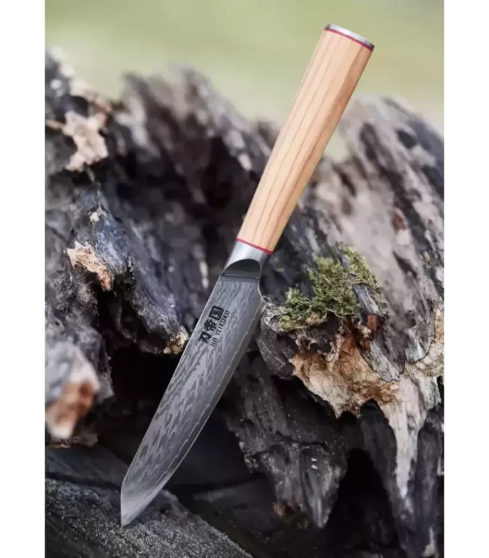 Küchenmesser Ha Teikoku, Klinge aus Damaszenerstahl (24 cm). ⚔️