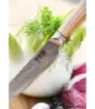 Coltello da cucina Ha Teikoku, lama in acciaio Damasco (24 cm). ⚔️