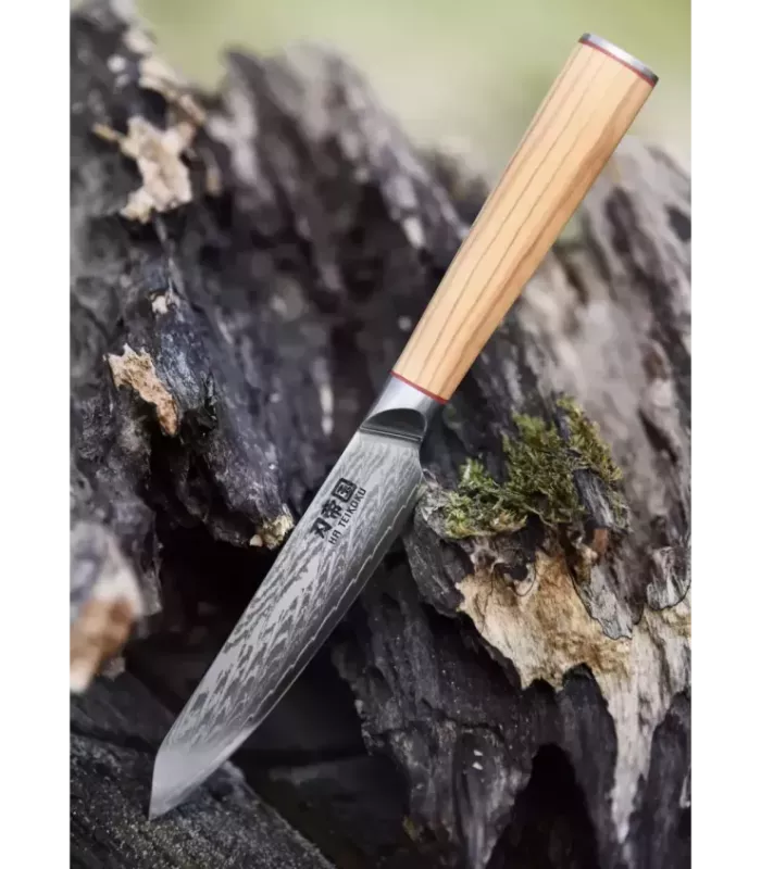 Küchenmesser Ha Teikoku, Klinge aus Damaszenerstahl (24 cm). ⚔️