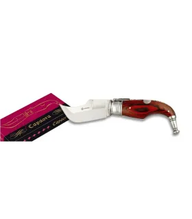 Albainox Taschenmesser Typ Capaora Nr. 0 (18,2 cm) ⚔️