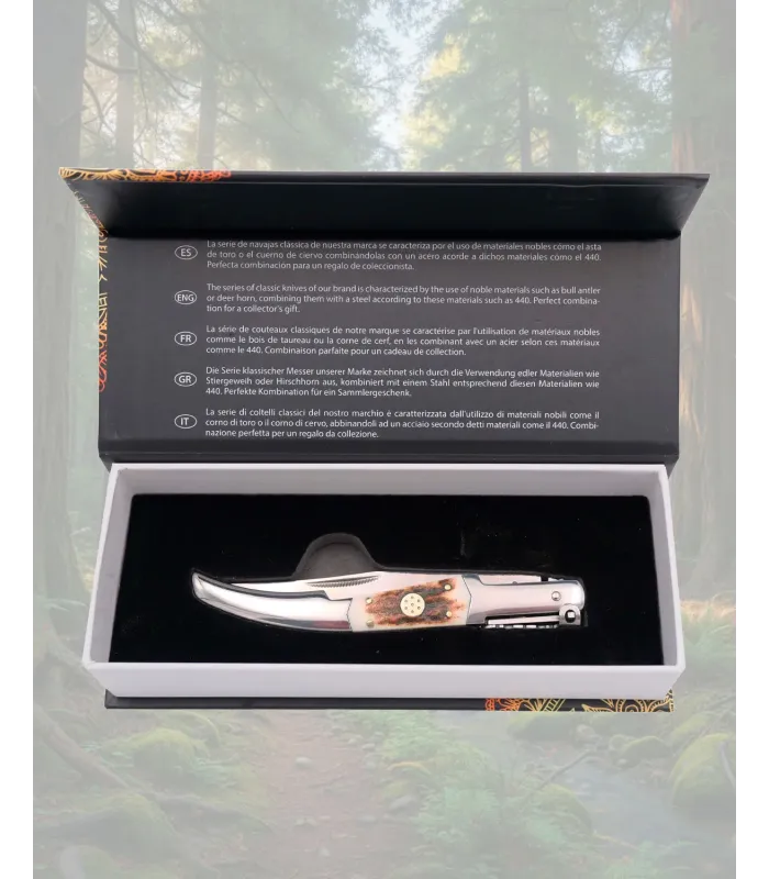 Third Series Stag Folding Knife (24 cm.) ⚔️