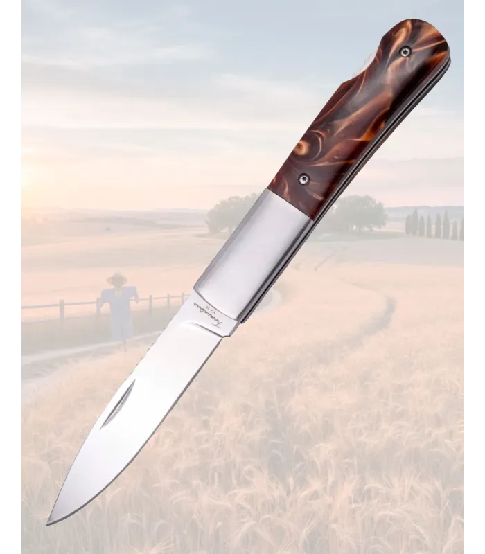 Tramuntana Folding Knife 10.2cm, VG10 with Locking Mechanism ⚔️