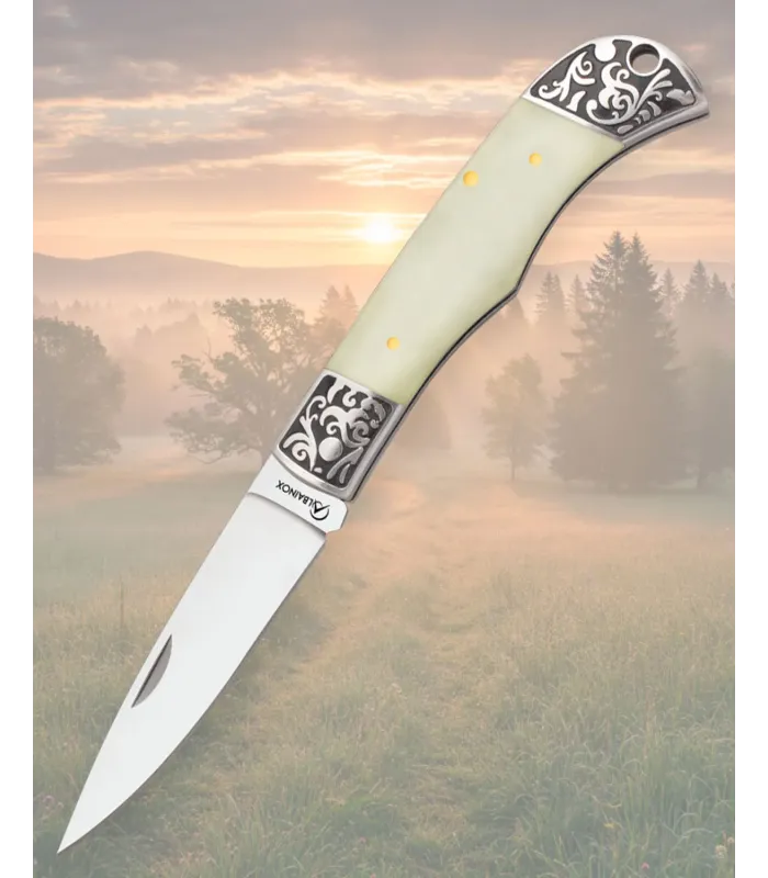 Albainox Taschenmesser mit Klinge aus rostfreiem Stahl (8 cm), Griff aus