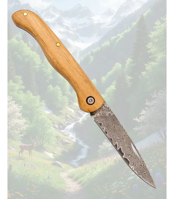 Coltello Tramuntana Damasco VG10 67 strati Acero ⚔️