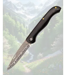 Tramuntana Damasco VG10 67 lagers Kniv i Ebenholz ⚔️