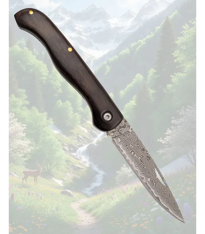 Couteau Tramuntana Damasco VG10 67 couches Ébène ⚔️