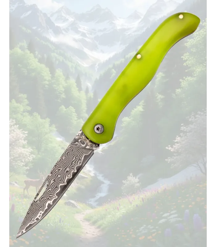 Couteau Tramuntana Damasque VG10 67 couches ⚔️