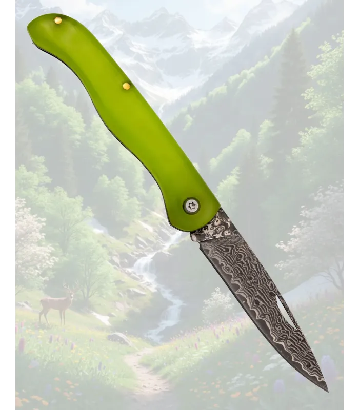 Tramuntana VG10 Damascus Knife 67 Layers ⚔️