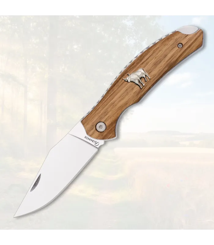 Coltello pieghevole Albainox toro, manico in legno ⚔️