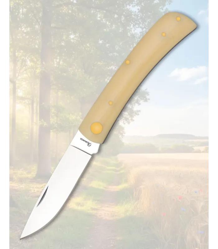 Albainox Campingmesser, Klingenlänge 7 cm ⚔️