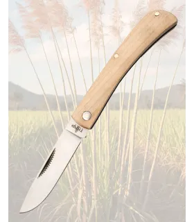 Thid Camp Knife with Maple Wood Handle ⚔️