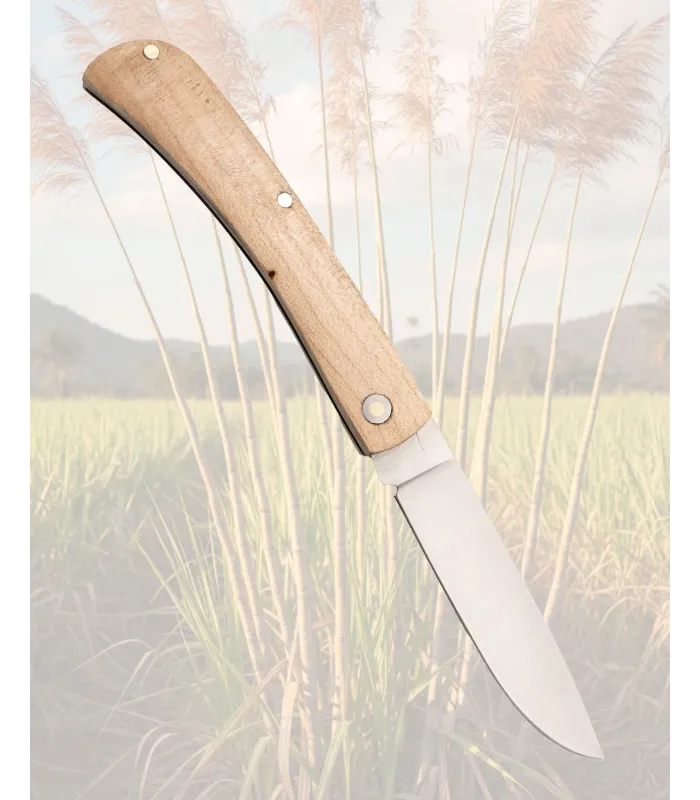 Thid Camp Knife with Maple Wood Handle ⚔️