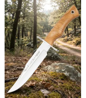 Coltello da montagna con manico in olivo e guardia in inox ⚔️